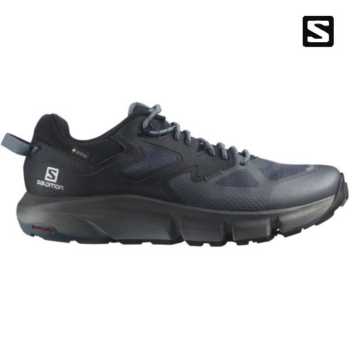 Tênis De Caminhada Salomon Predict Hike GTX Masculino Pretas | PT W51908